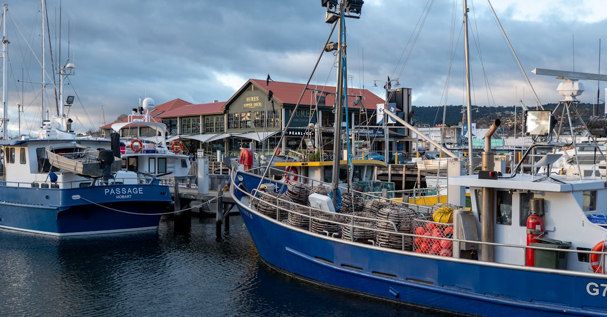 Choosing the Right Pendant Lights for Your Hobart Kitchen