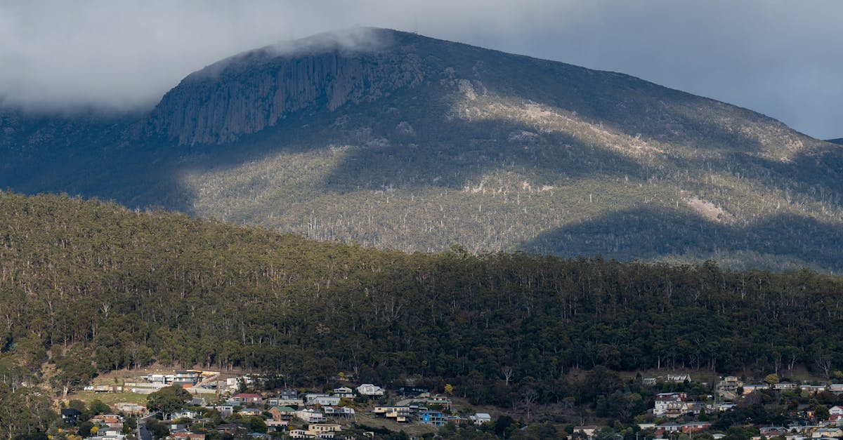 Common Unexpected Costs in Hobart Kitchen Renovations and How to Prepare