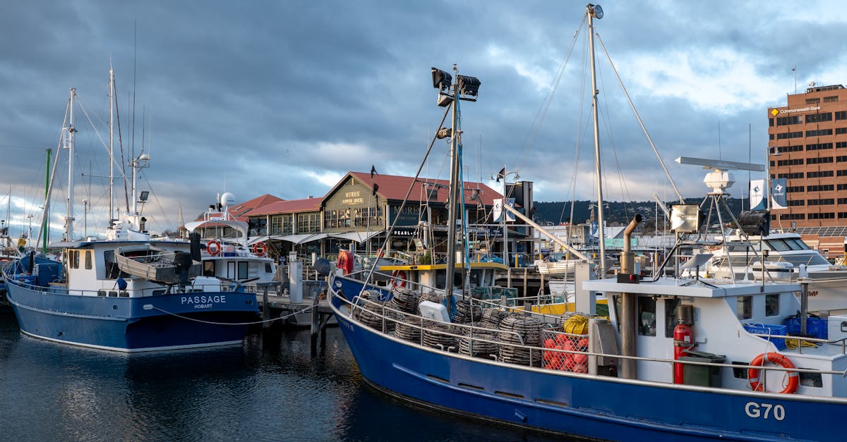 Designing Your Hobart Kitchen Renovation Timeline Around Lifestyle Needs