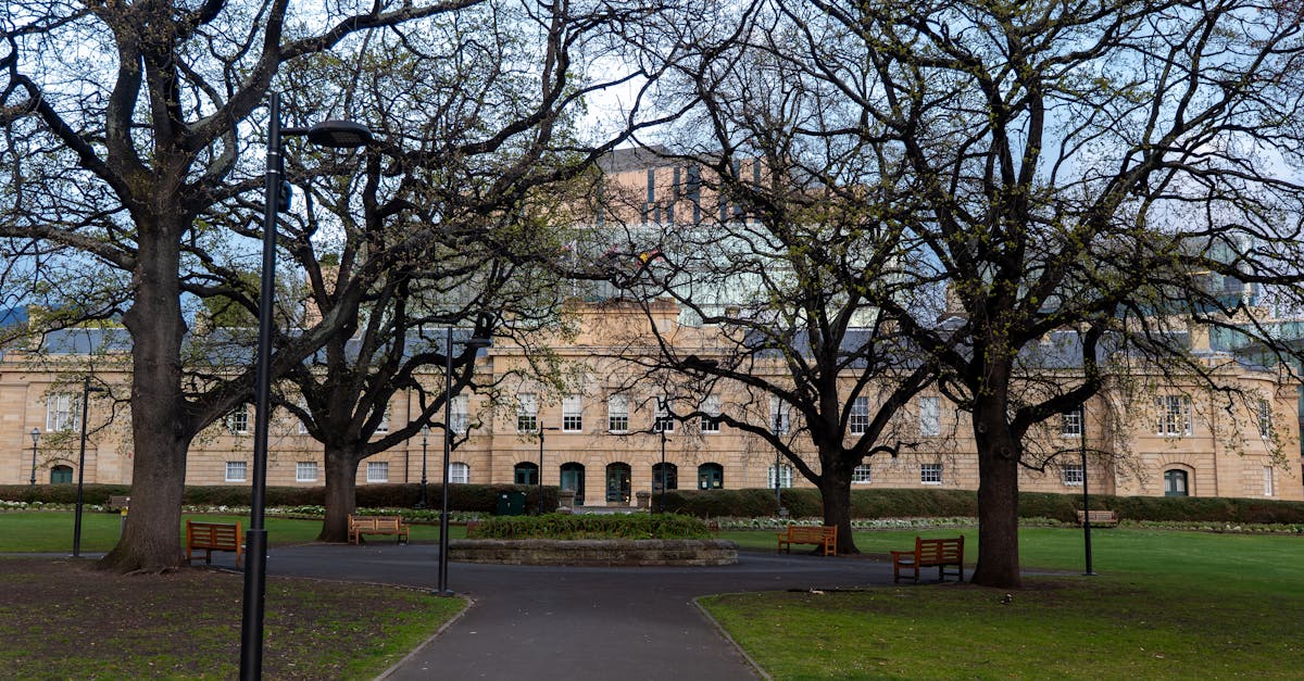 Stylish Track Lighting Ideas for Modern Hobart Kitchens